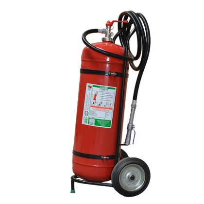 Stingator Cu Pulbere P50 - Avizat IGSU